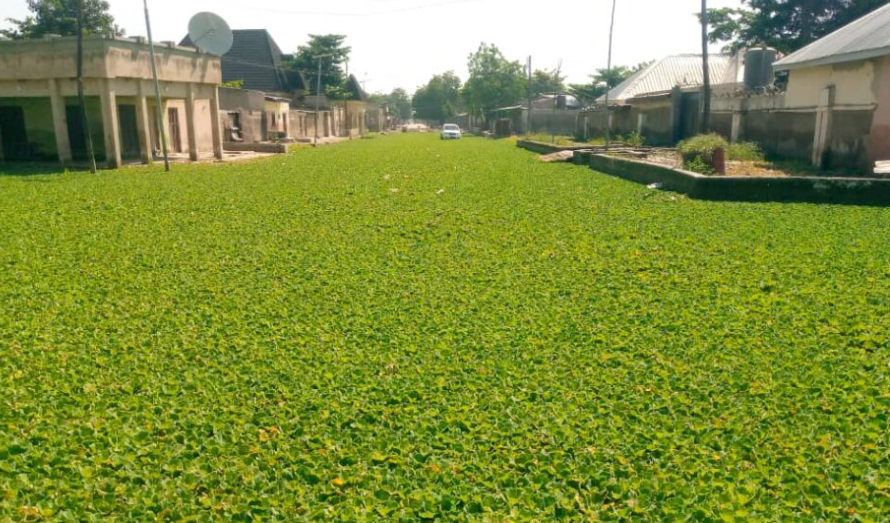 How Abandoned Dams Exposed Yobe Communities to Unending Floods