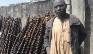 Hopping to Riches: How Jigawa Residents Make Fortune Selling Frogs